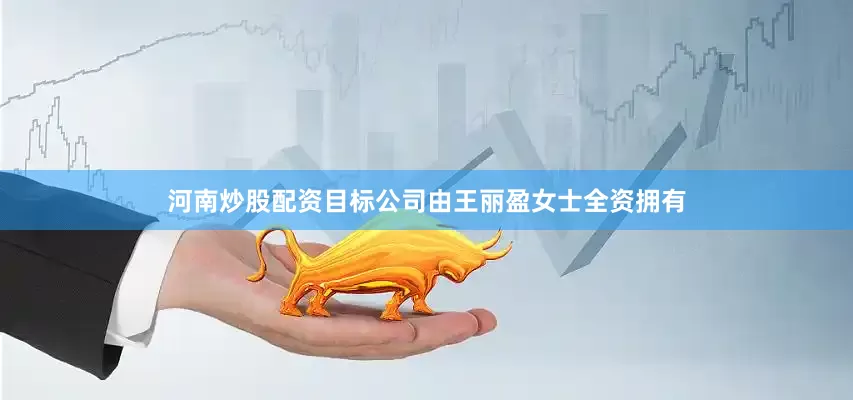 河南炒股配资目标公司由王丽盈女士全资拥有